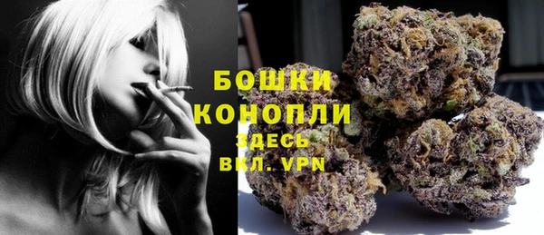 соль ск Белокуриха