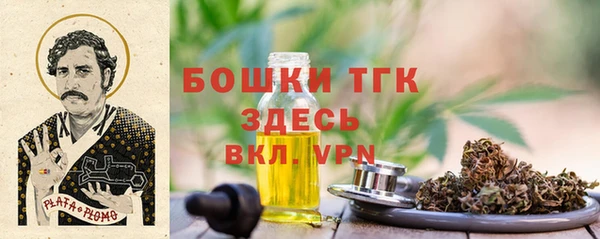 соль ск Белокуриха