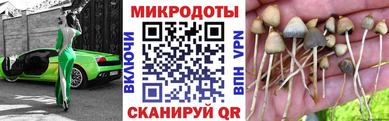 Псилоцибиновые грибы Magic Shrooms  купить наркотики сайты  Завитинск 
